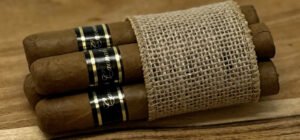 Caonabo Petit Premier – Connecticut </br> 50 x 4½ - 5 Pack